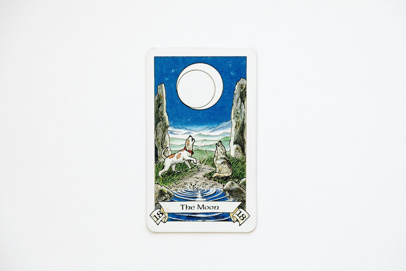 Substance Abuse Prevention