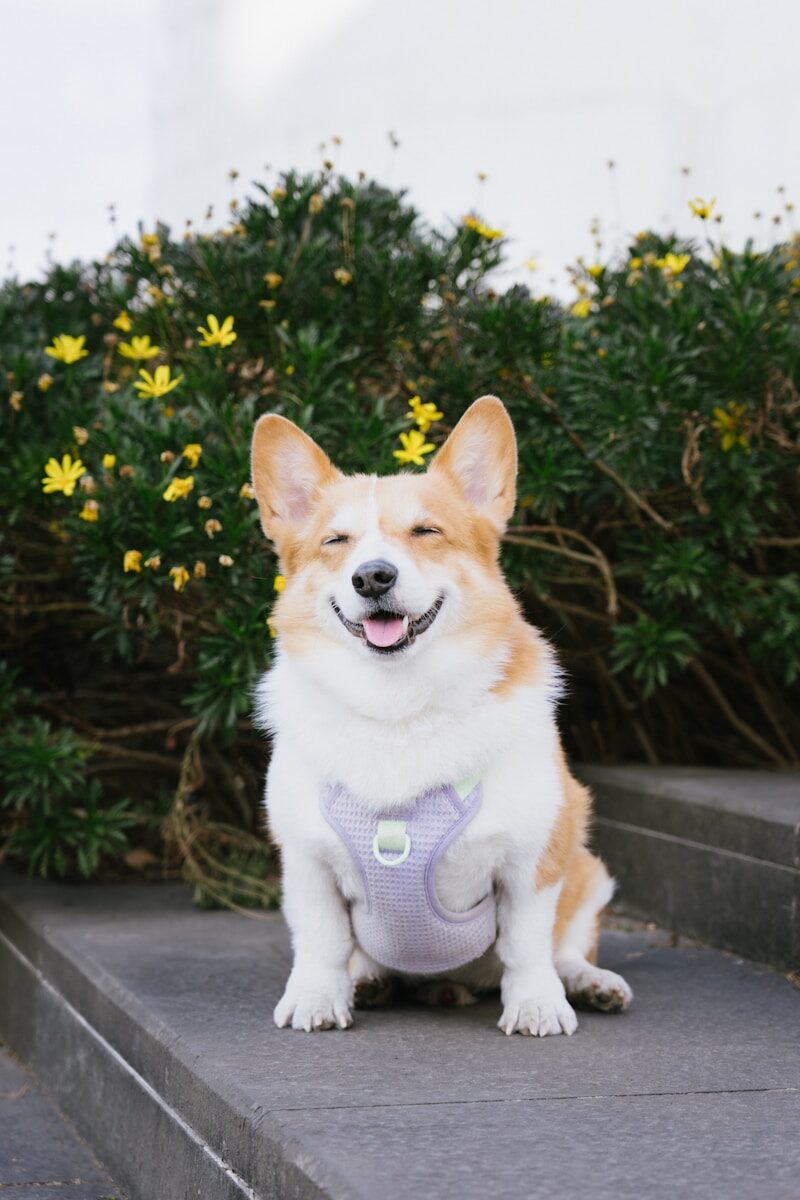 Environmental Hazard Awareness